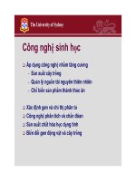 Qui Chuẩn Chất Lượng Sản Xuất Thành Phẩm Nông Nghiệp Phần 9 docx