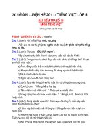 20 ĐỀ ÔN LUYỆN HÈ 2011- TIẾNG VIỆT LỚP 5 ĐỀ 19+20 ppt