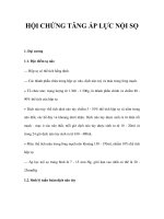HỘI CHỨNG TĂNG ÁP LỰC NỘI SỌ doc