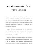 CÁC TẾ BÀO CHỦ YẾU CỦA HỆ THỐNG MIỄN DỊCH pps