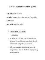 Giáo án mầm non chương trình đổi mới: CHỦ ĐỀ: CÔN TRÙNG ĐỀ TÀI: VÒNG ĐỜI PHÁT TRIỂN CỦA BƯỚM LỚP: CHỒI SỐ CHÁU: 15 – 20 CHÁU docx