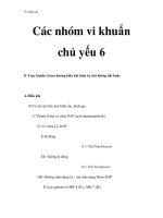 Vi sinh vật - Các nhóm vi khuẩn chủ yếu 6 potx