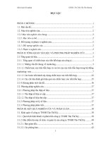 nghien cuu chien luoc xuc tien hon hop cho san pham thiet bi cong nghiep cua cong ty TNHH Tan The Ky ppsx