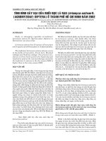 BÁO CÁO NGHIÊN CỨU KHOA HỌC KỸ THUẬT: TÌNH HÌNH GÂY HẠI CỦA RUỒI ĐỤC LÁ RAU Liriomyza sativae B. (AGROMYZIDAE: DIPTERA) Ở THÀNH PHỐ HỒ CHÍ MINH NĂM 2002 doc