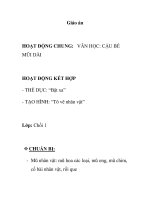 Giáo án mầm non chương trình đổi mới: HOẠT ĐỘNG CHUNG: VĂN HỌC: CẬU BÉ MŨI DÀI potx