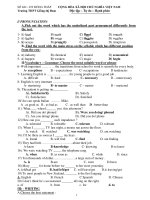 ĐỀ KIỂM TRA TRẮC NGHIỆM MÔN: Tiếng Anh - Khối:12 - Trường THPT Giồng thị pot