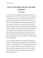 Quyền sở hữu trí tuệ - BẢO VỆ NHÃN HIỆU THƯƠNG MẠI TRÊN INTERNET ppsx