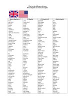 What are the differences between British English and American English? pptx