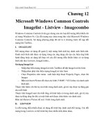GIÁO TRÌNH MICOSOFT VISUAL BASIC - Chương 12 Microsoft Windows Common Controls Imagelist - Listview - Imagecombo pot