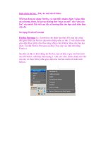 Giáo trình tin học : May áo mới cho Firefox doc