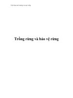 Việt Nam môi trường và cuộc sống - Phần 14 pot