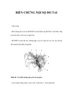 BIẾN CHỨNG NỘI SỌ DO TAI doc