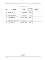 quản trị dự án thiết kế, chế tạo và lắp đặt một bồn chứa công nghiệp với vật liệu inox dung tích 100m3