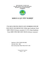 Luận văn : ỨNG DỤNG PHƯƠNG PHÁP IN SITU HYBRIDIZATION ĐỂ CHẨN ĐOÁN MẦM BỆNH WSSV (White Spot Syndrome Virus) TRÊN TÔM SÚ (Penaeus monodon) VÀ TSV (Taura Syndrome Virus) TRÊN TÔM THẺ CHÂN TRẮNG (Penaeus vannamei) part 1 pdf