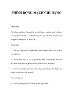 PHÌNH ĐỘNG MẠCH CHỦ BỤNG pot
