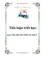 Tiểu luận triết học: Thực tiễn là tiêu chuẩn chân lý pdf