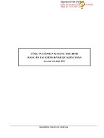 công ty cổ phần xi măng thái bình báo cáo tài chính đã được kiểm toán 2013