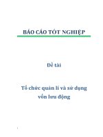 Đề tài: Tổ chức quản lí và sử dụng vốn lưu động potx