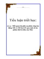 Tiểu luận triết học: Mối quan hệ giữa sự phân công lao động XH và XH hoá SX qua một số tác phẩm thời kì đầu của Mác ppt