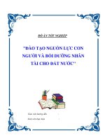 Tiểu luận triết học: 