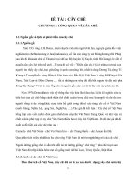 Báo cáo tiểu luận đề tài : Cây Chè