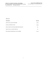 công ty cổ phần xi măng thái bình báo cáo tài chính quý 3 cho kỳ hoạt động từ 1 tháng 7 năm 2010 đến 30 tháng 9 năm 2010