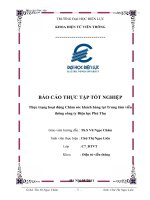 Báo cáo: thực trạng hoạt động chăm sóc khách hàng tại trung tâm viễn thông công ty điện lực phú thọ pdf