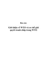 Báo cáo: Giới thiệu về WTO và cơ chế giải quyết tranh chấp trong WTO ppsx