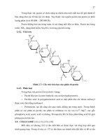 Luận văn : Xác định các thành phần chủ yếu trong cà phê nhân, tạo chế phẩm Biocoffee-1 với hoạt tính cao của pectinase và cellulase part 3 pot