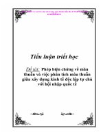 Tiểu luận triết học: CNH - HĐH và vai trò của nó trong quá trình tiến lên CNXH ở nước ta pot