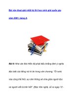 Bài văn đoạt giải nhất kỳ thi học sinh giỏi quốc gianăm 2001 pot
