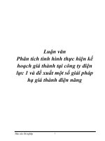 phân tích tình hình thực hiện kế hoạch giá thành tại công ty điện lực 1 và đề xuất một số giải pháp hạ giá thành điện năng