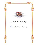 Tiểu luận triết học: Ô nhiễm môi trường docx