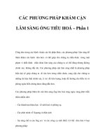 CÁC PHƯƠNG PHÁP KHÁM CẬN LÂM SÀNG ỐNG TIÊU HOÁ – Phần 1 pot