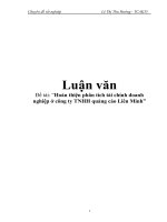 Đề tài “Hoàn thiện phân tích tài chính doanh nghiệp ở công ty TNHH quảng cáo Liên Minh” ppsx