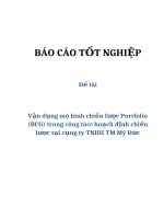 Đề tài: Vận dụng mô hình chiến lược Portfolio (BCG) trong công tácc hoạch định chiến lược tại cụng ty TNHH TM Mỹ Đức docx