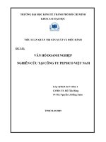 văn hóa doanh nghiệp nghiên cứu tại công ty pepsico việt nam