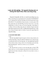 Luận văn tốt nghiệp : Tài nguyên khoáng sản và những thế mạnh khác nhau của từng vùng phần 1 ppt