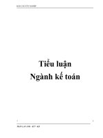 Tiểu luận ngành kế toán pdf