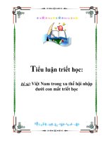 Tiểu luận triết học: Việt Nam trong xu thế hội nhập dưới con mắt triết học ppt