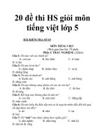 20 đề thi HS giỏi môn tiếng việt lớp 5_3 doc