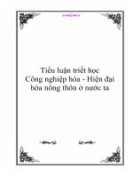 Tiểu luận triết học: Công nghiệp hóa - Hiện đại hóa nông thôn ở nước ta docx