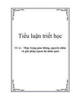 Tiểu luận triết học: Thực trạng giao thông, nguyên nhân và giải pháp (quan hệ nhân quả) pot