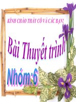 Vùng năm hóa Nam Bộ pptx