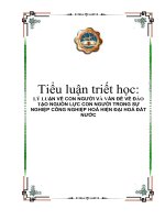 Tiểu luận triết học: Công nghiệp hóa - Hiện đại hóa ở VN trong thời kỳ quá độ potx