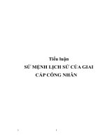 Tiểu luận - SỨ MỆNH LỊCH SỬ CỦA GIAI CẤP CÔNG NHÂN docx