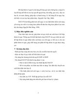 Luận văn : KHẢO SÁT QUY TRÌNH SẢN XUẤT ĐỒ HỘP KHÓM RẼ QUẠT VÀ BƯỚC ĐẦU THIẾT LẬP HACCP CHO QUY TRÌNH part 2 docx