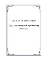 CHUYÊN ĐỀ TỐT NGHIỆP - Định hướng chiến lược marketing cho Sunrise pps