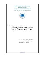 thực trạng và giải pháp hoàn thiện văn hóa kinh doanh tại công ty mai linh