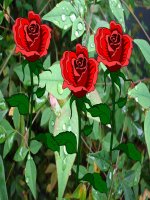 bài giảng toán 11 giới hạn của dãy số